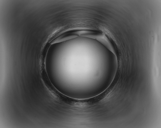 X0000087370444200704201230