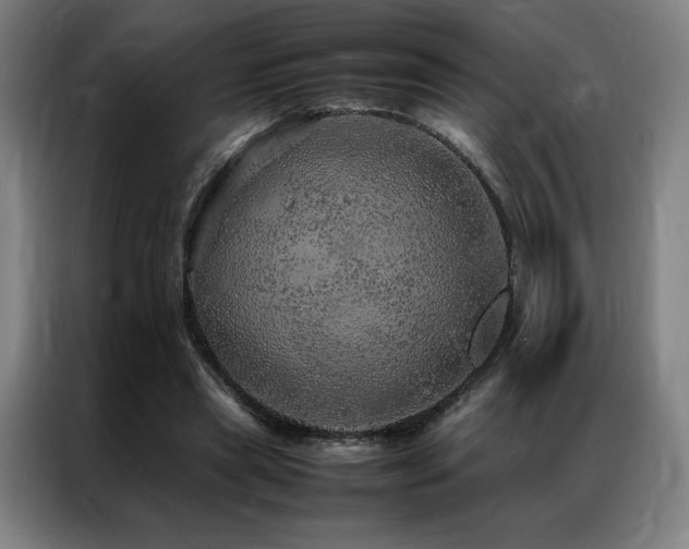 X0000087370445200704201230