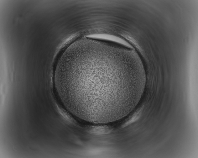 X0000087370446200704201231