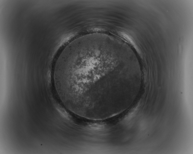 X0000087370447200704201231