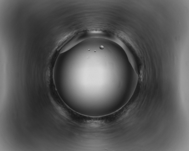 X0000087370448200704201231