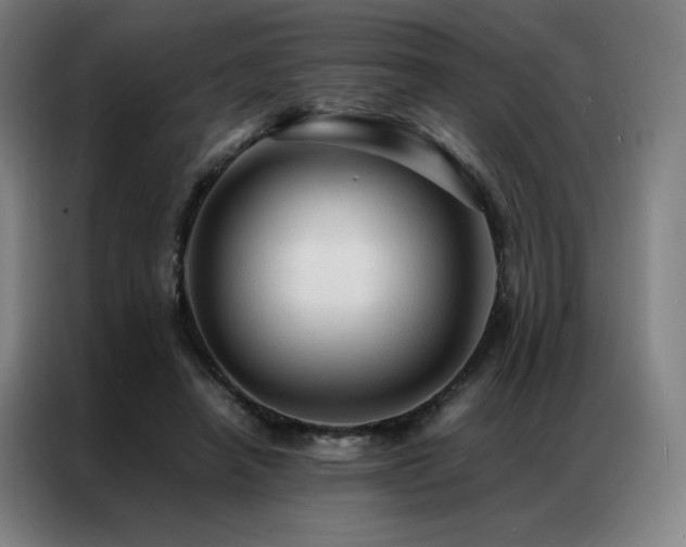 X0000087370450200704201231