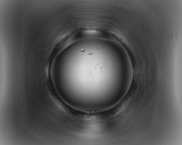 X0000087370454200704201231