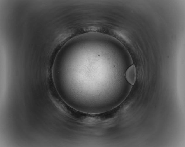 X0000087370455200704201231