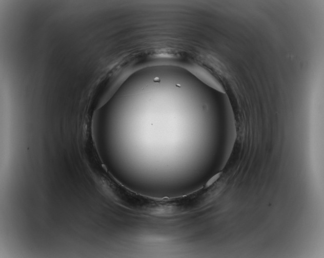 X0000087370456200704201231