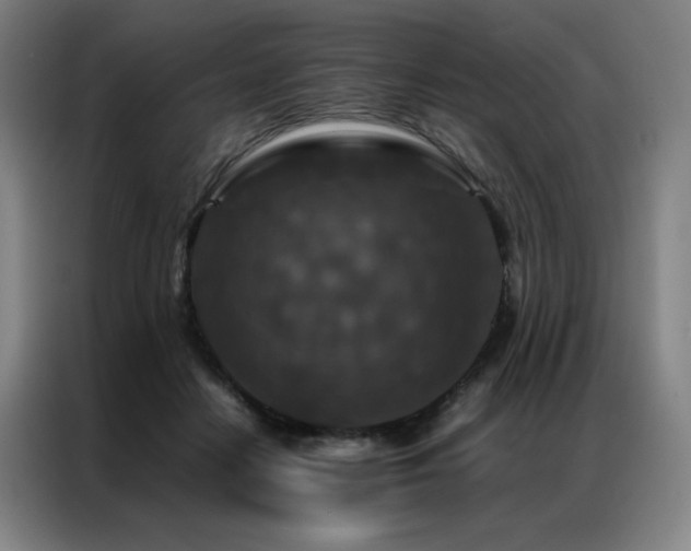 X0000087370458200704201231