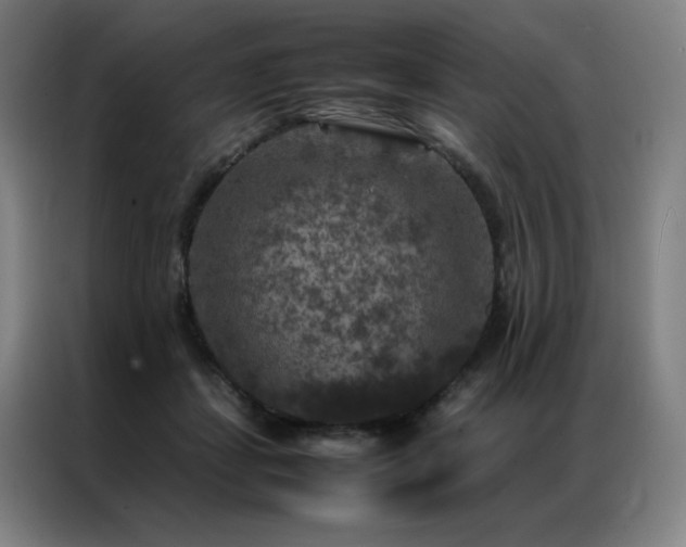 X0000087370459200704201231