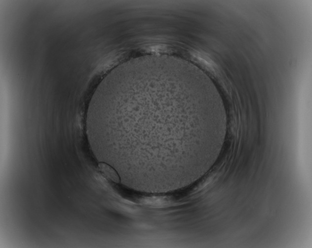 X0000087370461200704201231