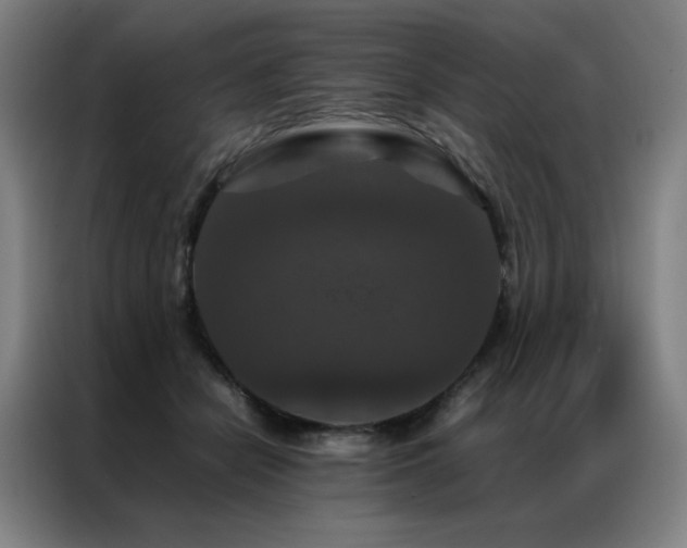 X0000087370462200704201231