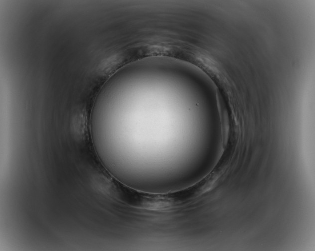 X0000087370463200704201231