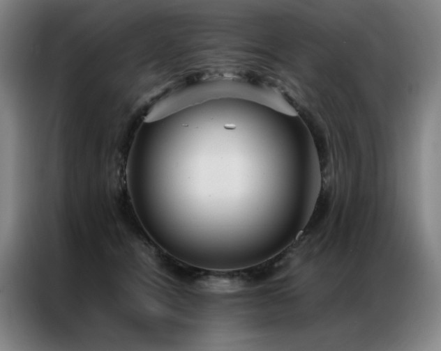 X0000087370464200704201231