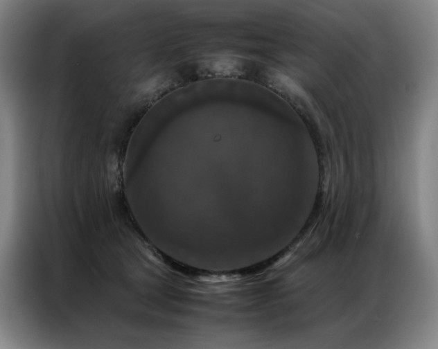 X0000087370465200704201231