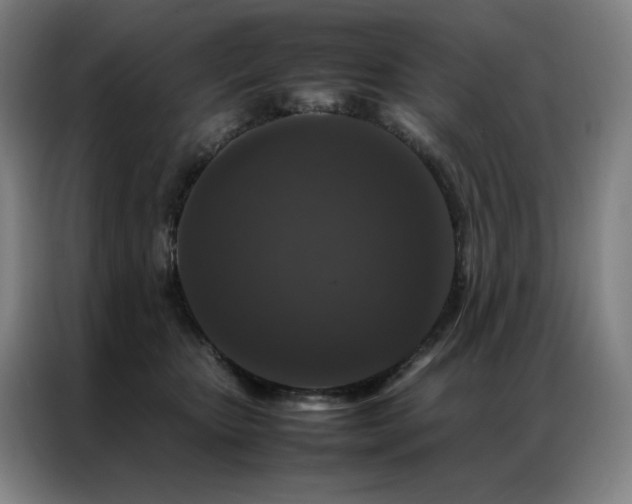 X0000087370467200704201231