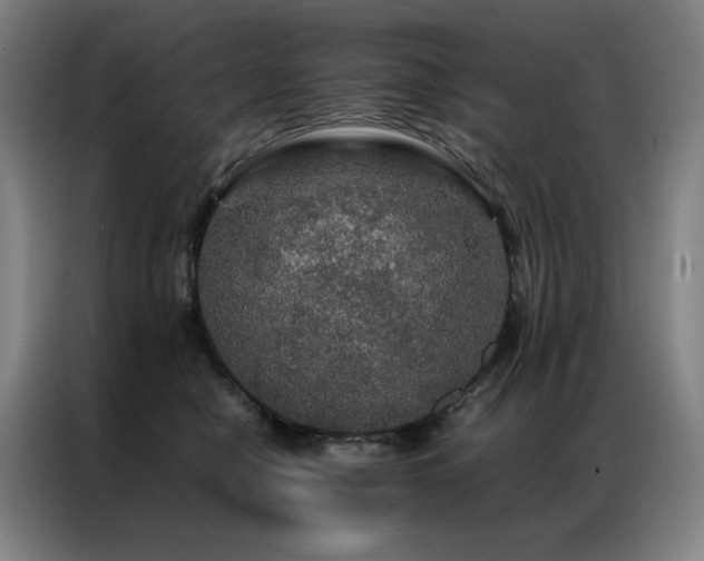 X0000087370470200704201231