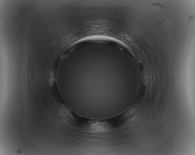 X0000087370471200704201231