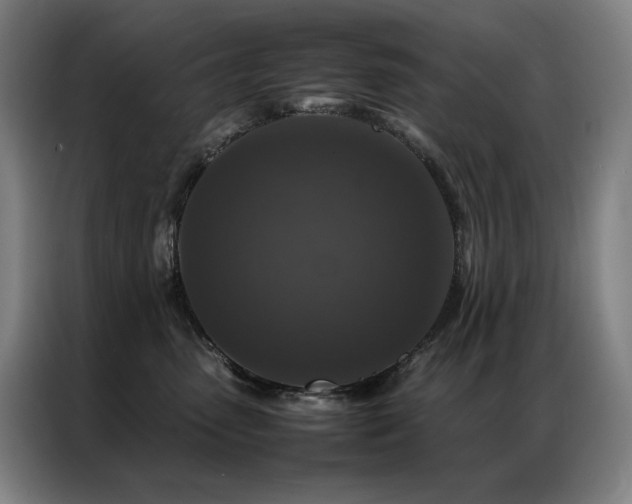 X0000087370475200704201231