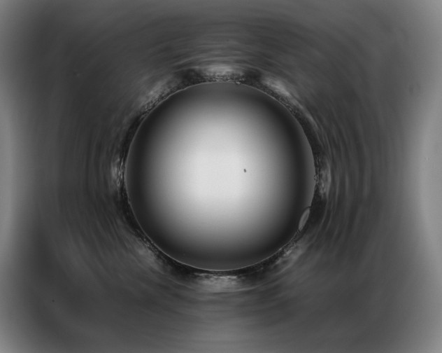 X0000087370476200704201231