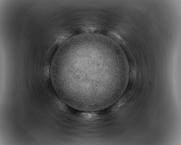 X0000087370477200704201231