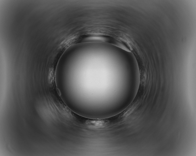 X0000087370478200704201231