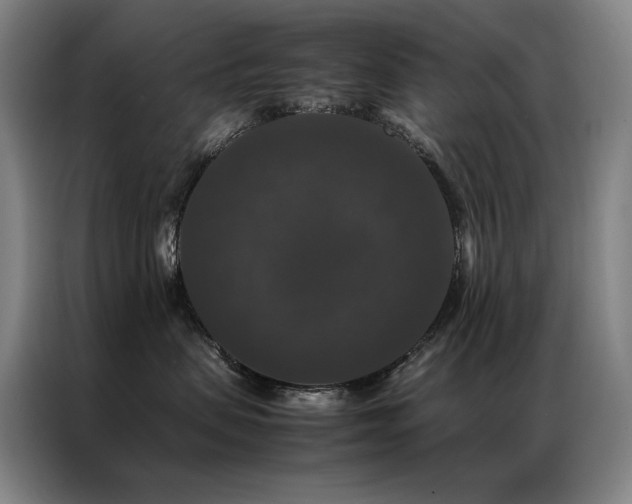 X0000087370479200704201231
