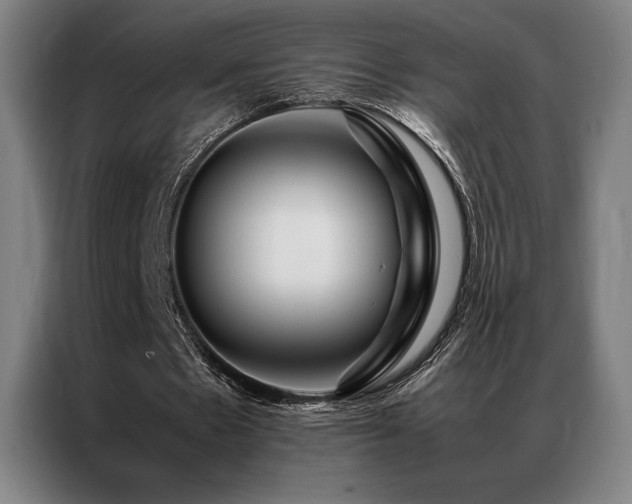 X0000087370481200704201230