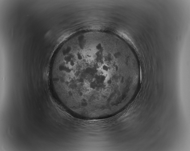 X0000087370483200704201230