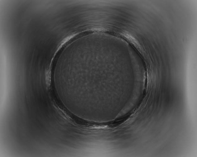 X0000087370484200704201230