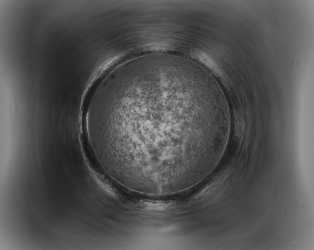 X0000087370486200704201230