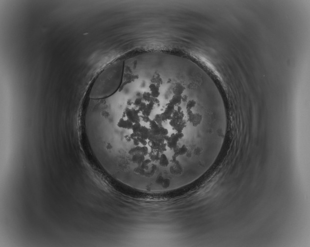 X0000087370487200704201230