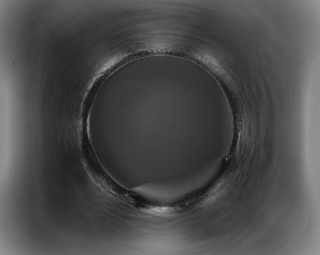 X0000087370488200704201230