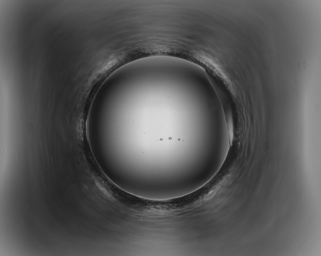 X0000087370489200704201230