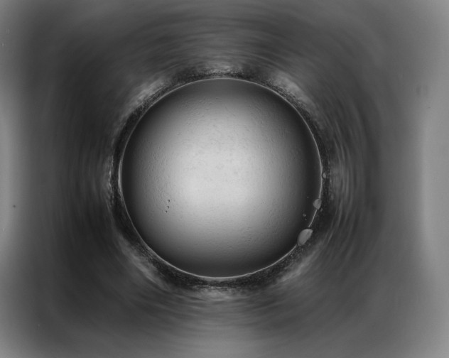 X0000087370490200704201230