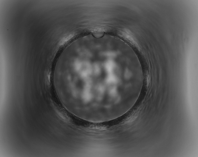 X0000087370491200704201230