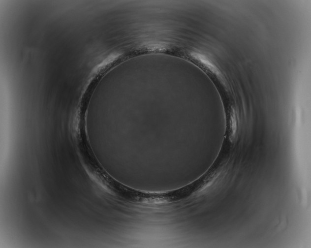 X0000087370492200704201230