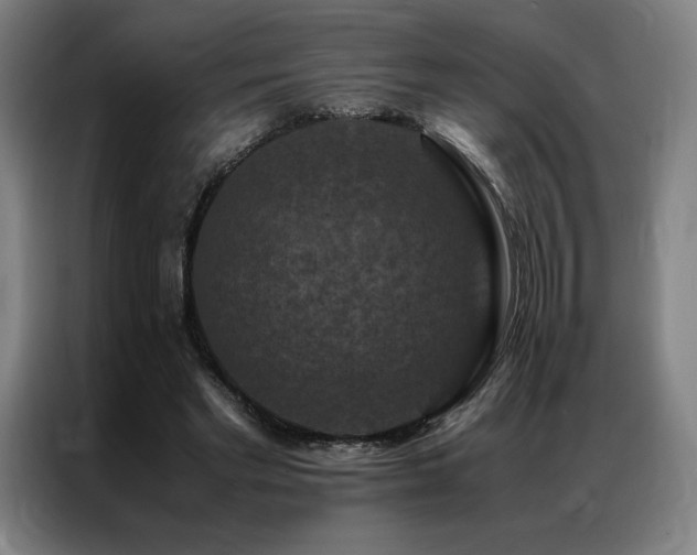 X0000087370493200704201230