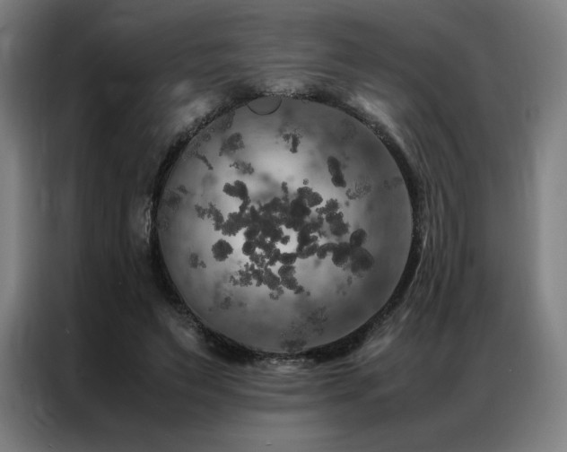X0000087370495200704201230