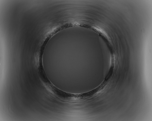 X0000087370496200704201230