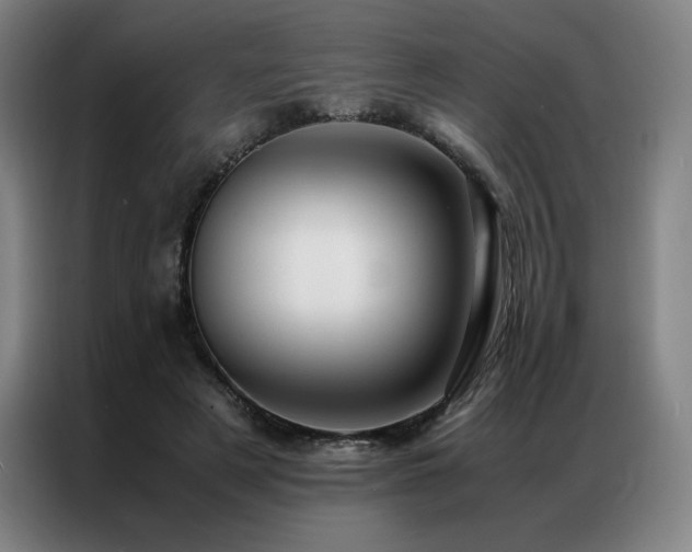 X0000087370497200704201230