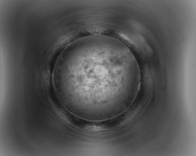 X0000087370498200704201230