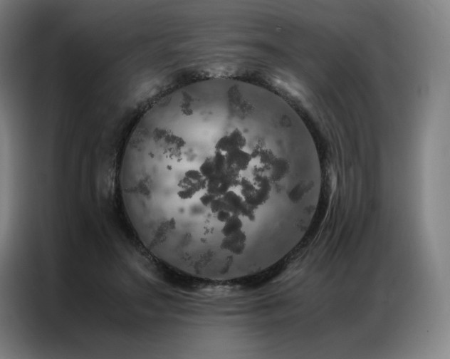 X0000087370499200704201230
