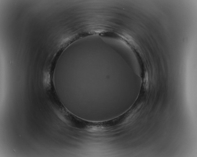 X0000087370500200704201230