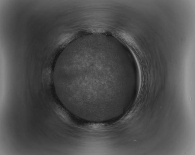 X0000087370501200704201230