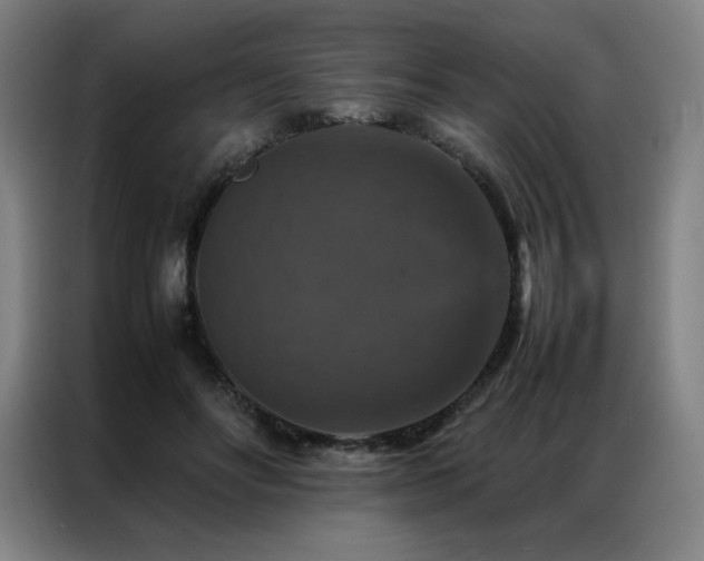 X0000087370502200704201230