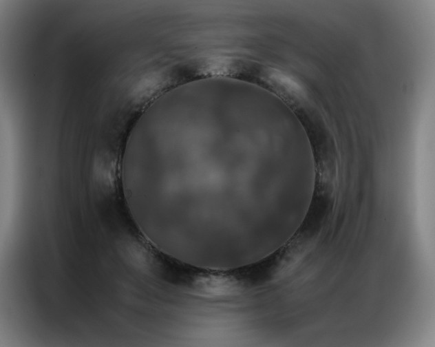 X0000087370503200704201230