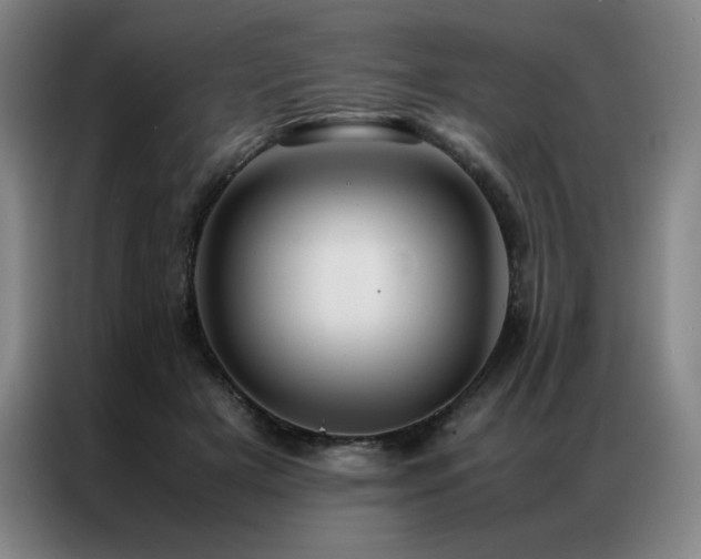 X0000087370505200704201230