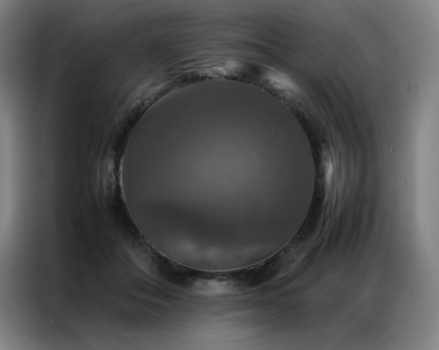 X0000087370506200704201230