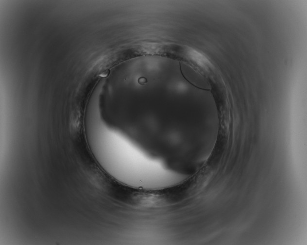 X0000087370507200704201230