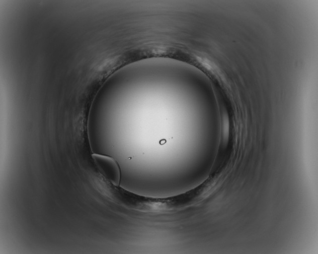 X0000087370509200704201230