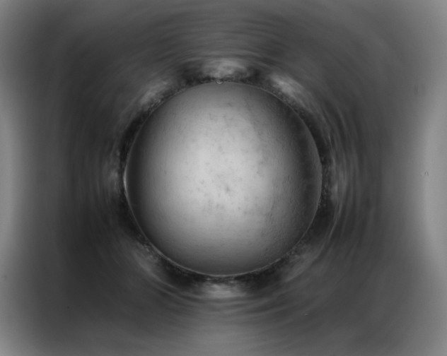 X0000087370510200704201230