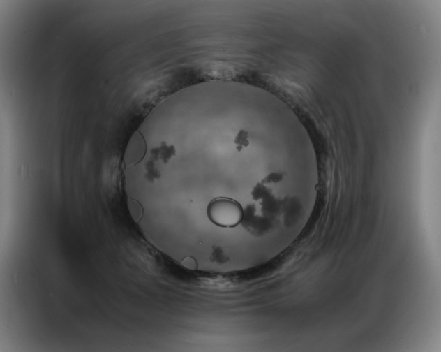 X0000087370511200704201230